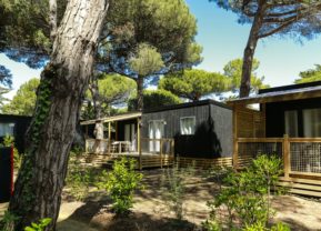 Camping Tamarins plage